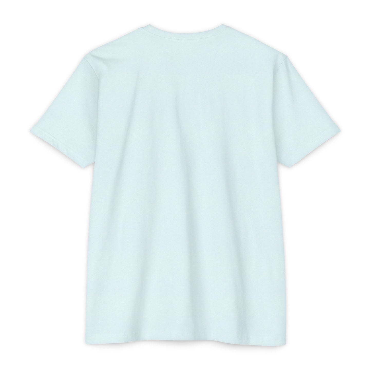 Baby Girl Coming Soon Maternity Jersey Tee Ice Blue T-Shirt