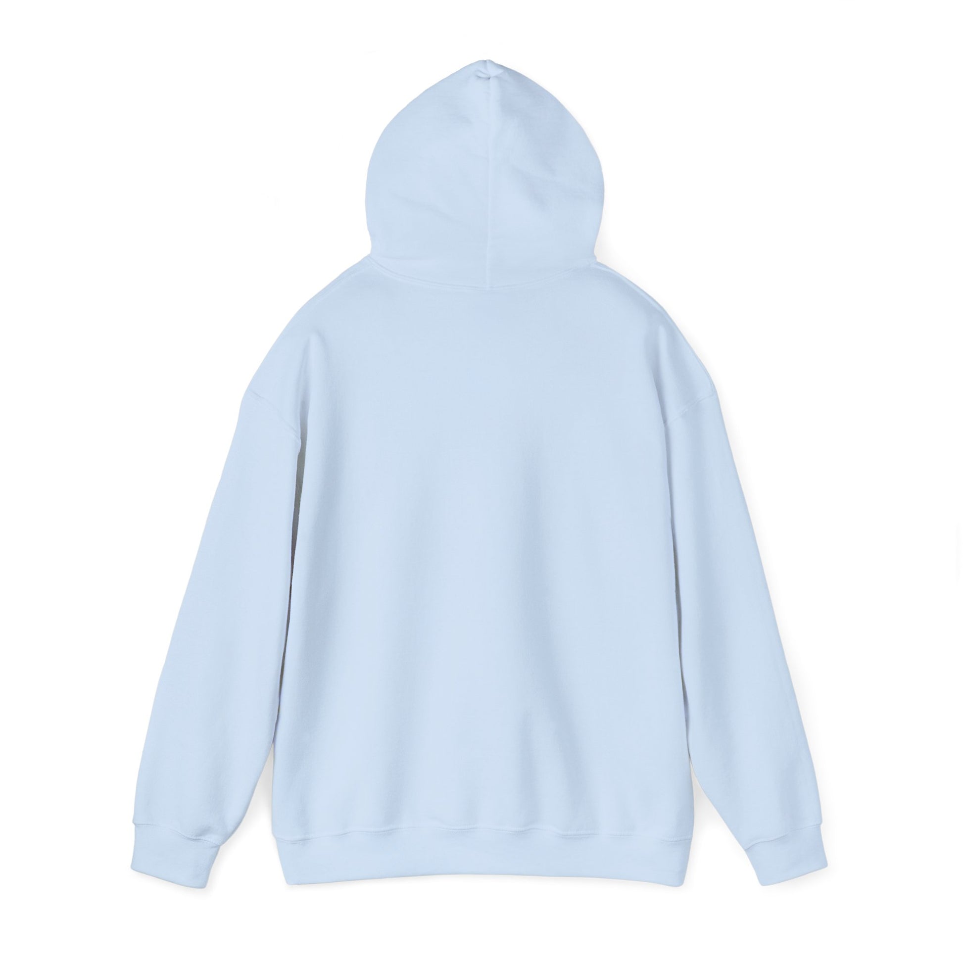 Cool Dad Snowed In Edition Hoodie Light Blue Hoodie