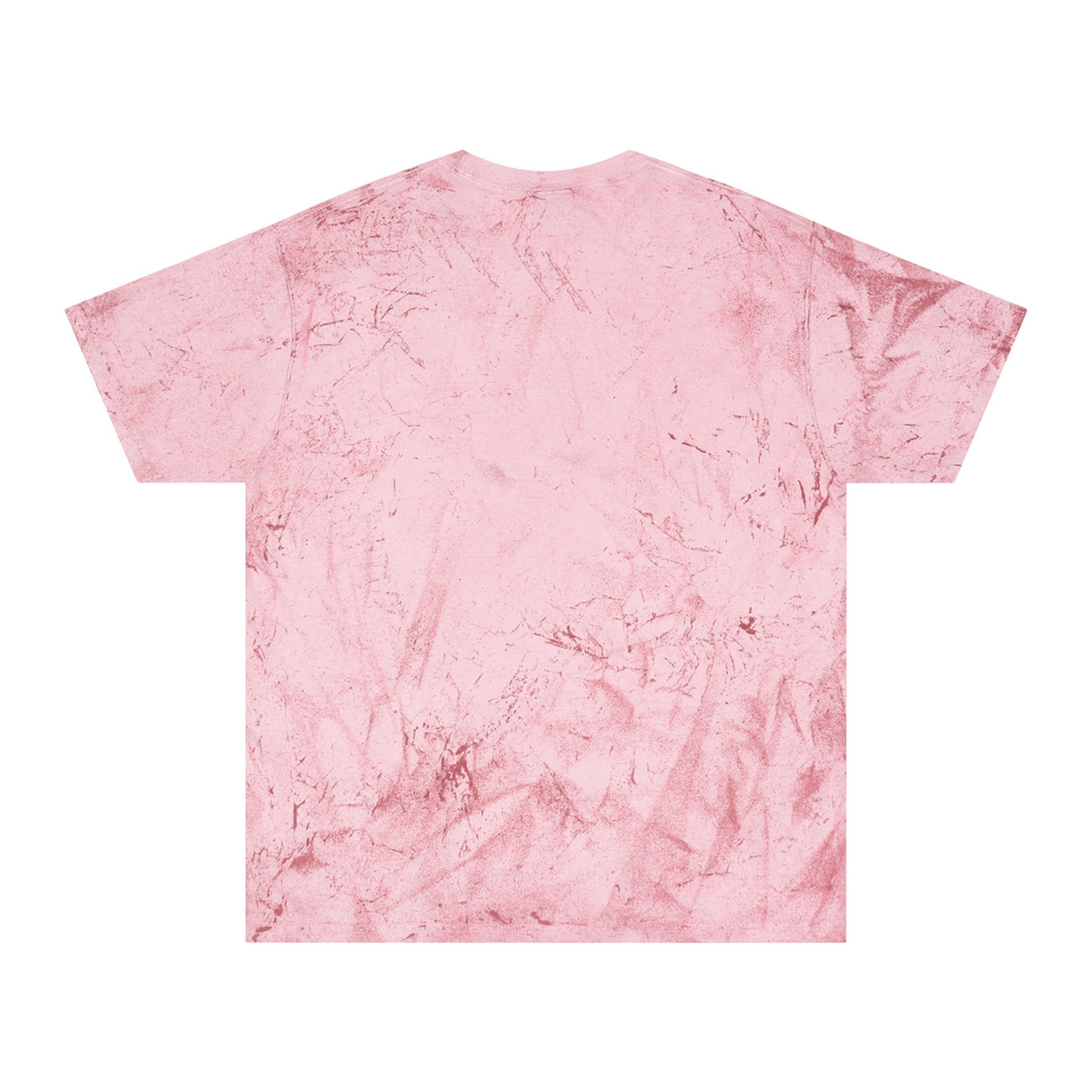 The Dada Color Blast Tee Clay T-Shirt