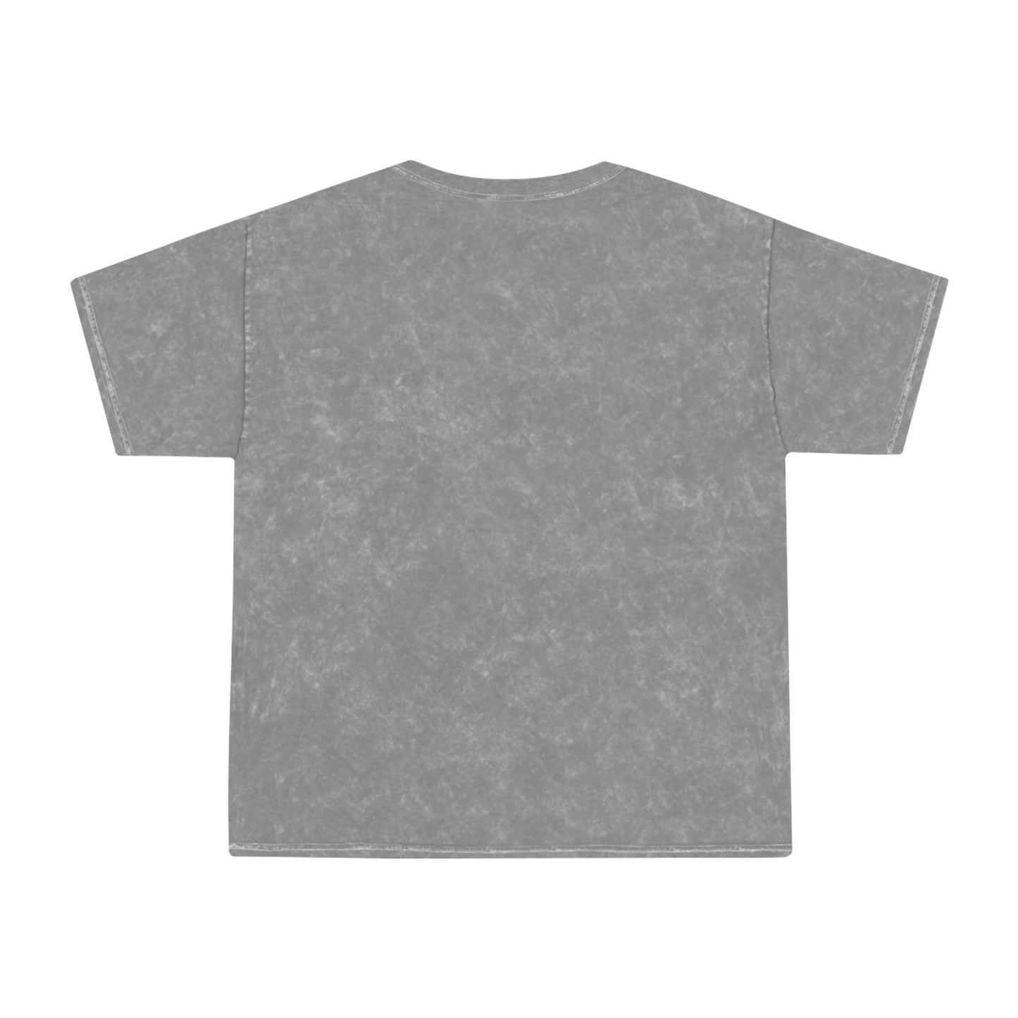 Adventure of Parenting Mineral Wash Tee Mineral Grey T-Shirt