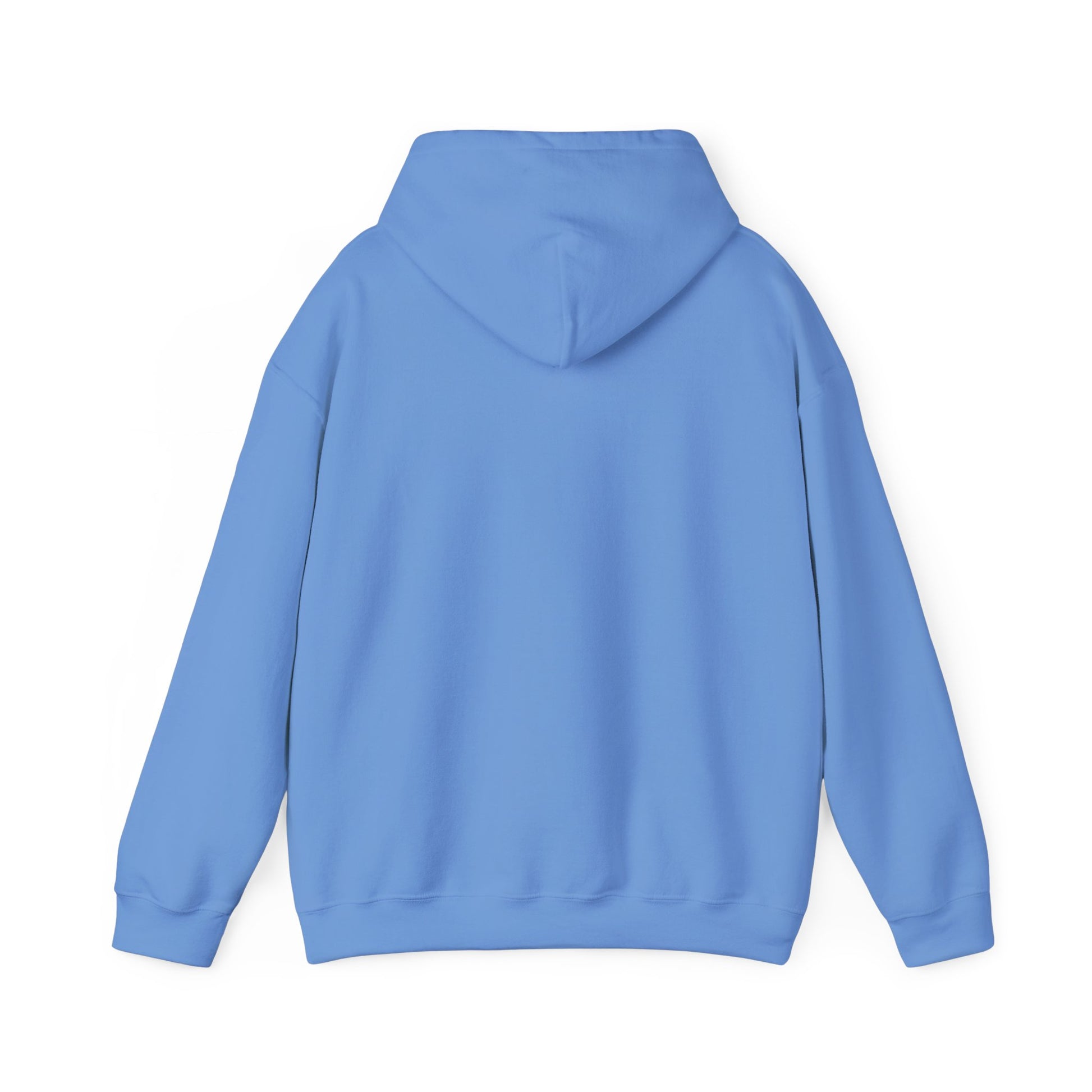 Cool Dad Snowed In Edition Hoodie Carolina Blue Hoodie