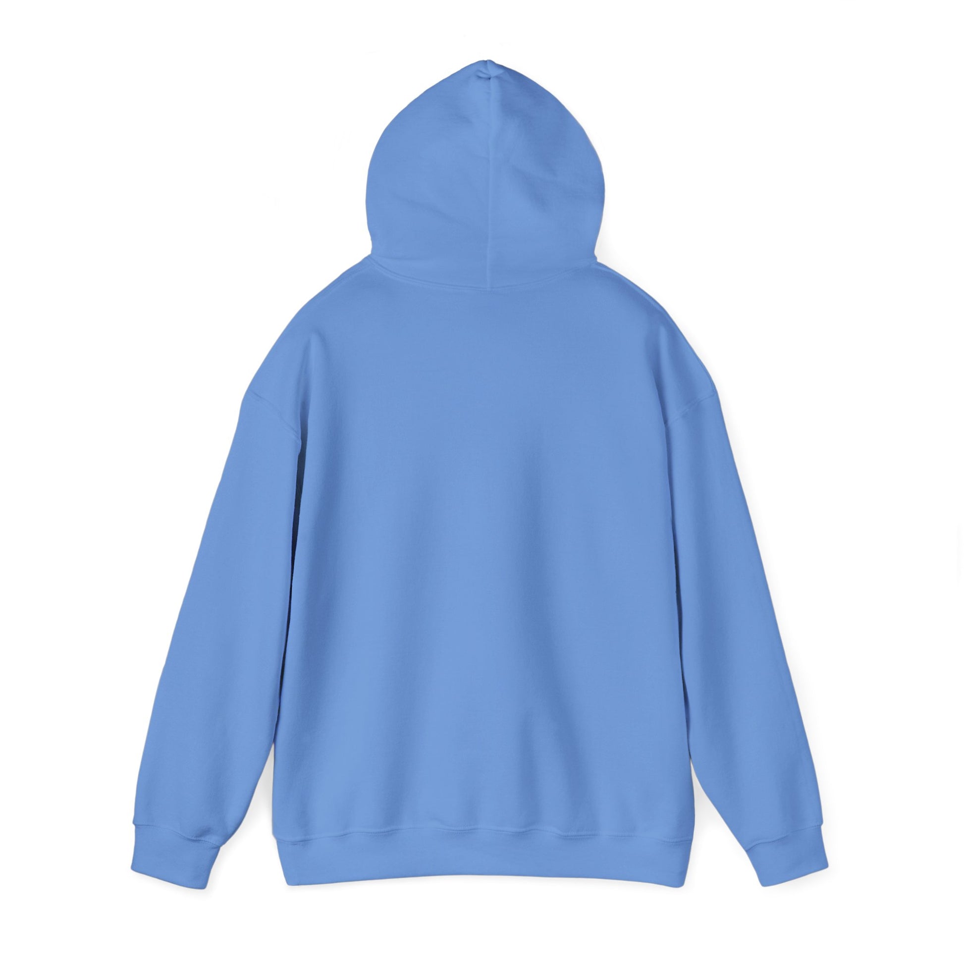 Cool Dad Snowed In Edition Hoodie Carolina Blue Hoodie